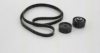 TRISCAN 8642 25004 V-Ribbed Belt Set